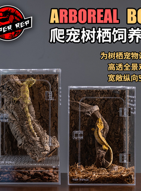 SuperRep亚克力树栖守宫饲养盒睫角守宫树蛙油彩蜘蛛跳蛛饲养盒