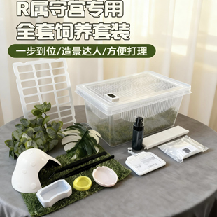 R属睫角守宫饲养套装守宫造景全阶段饲养用品高颜值通风饲养盒