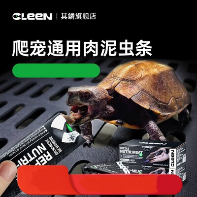 爬宠守宫蜥蜴昆虫泥代替活体蟋蟀