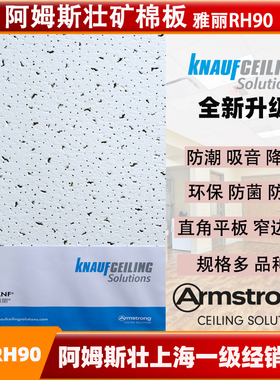 阿姆斯壮矿棉板雅丽RH90毛毛虫600x600办公室吊顶W1591吸音吊顶板