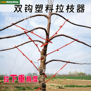 果树拉枝器双钩塑料拉枝器主干型拉枝器开角器果树压枝定型器园林