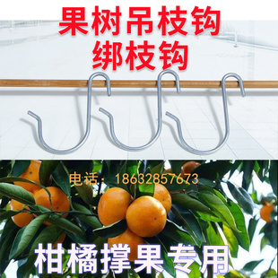 果树撑果绑枝挂钩果树钩S型枝条钩吊果钩火龙果挂果钩拉果钩