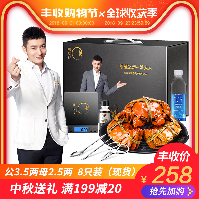 蟹太太陽澄湖大閘蟹螃蟹鮮活現貨特大公3.5兩母2.5兩4對8只禮盒裝