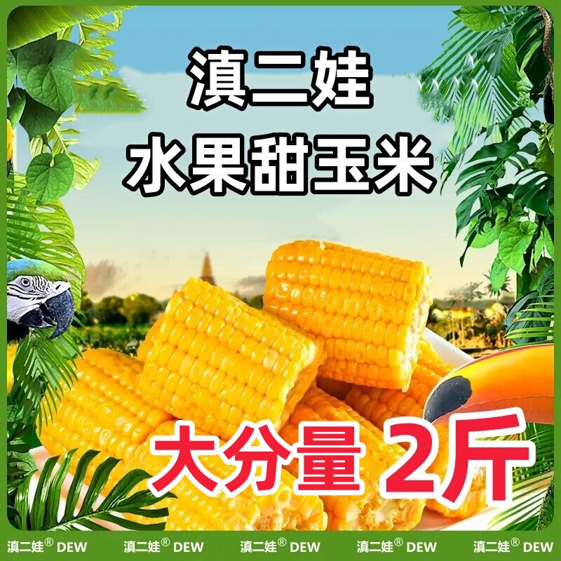 滇二娃甜玉米段水果玉米棒