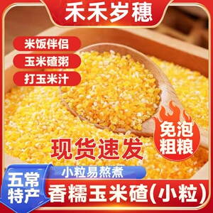 禾禾岁穗玉米碴香糯玉米碴小碴子玉米糁东北五常粗粮小粒玉米碴