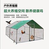 鸡笼养鸡鸽笼家禽大型挡风防雨孔雀遮雨鸡舍搭建家用养殖德国品质