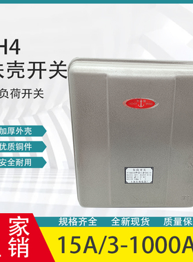 HH4-60A100A200A300A500A/3Z封闭式铁壳盒负荷隔离刀开关380V HH3