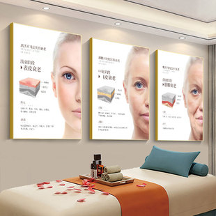 抗衰海报皮肤结构图面部衰老层级图美业广告祛皱宣传画微整形挂画