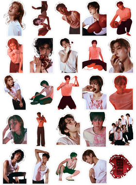 Xdinary Heroes LXVE to DEATH 防水手机笔记本贴纸