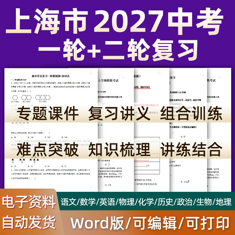 上海市2023新版中考总复习语文
