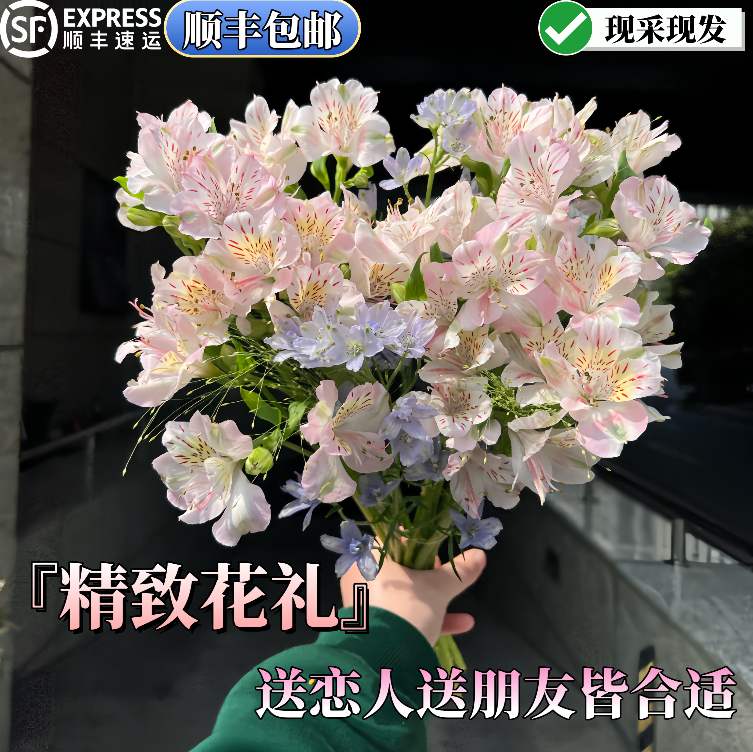 新鲜花束手捧花制作云南基地现采现发日常瓶插水培插花顺丰包邮
