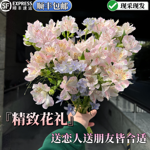 手捧花花材现采现发顺丰包邮