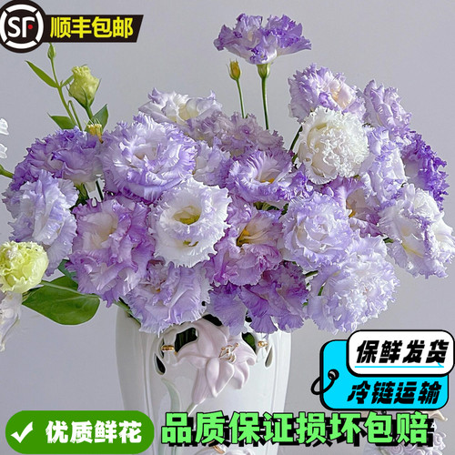 洋桔梗鲜花高端稀有小众鲜花