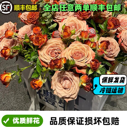 玫瑰鲜花卡布奇诺玫瑰花束云南基地直发送朋友鲜花礼物ins风创意