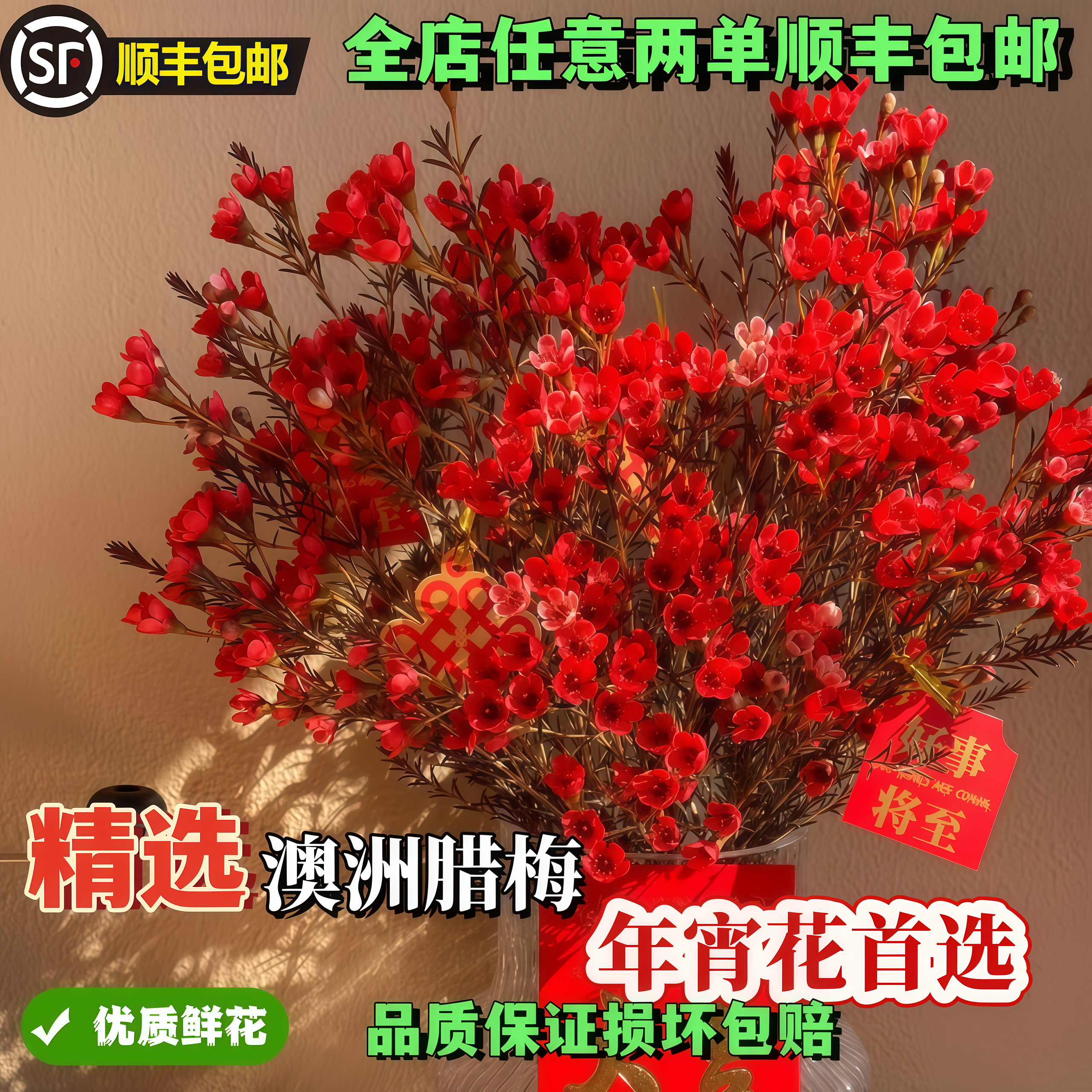精选澳洲腊梅花束中国红新年春节装饰淡香切花50cm超长花期年宵花,鲜花速递/花卉仿真/绿植园艺,花材,淘宝优惠券,粉丝福利购,淘宝优惠卷