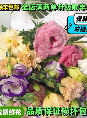 洋桔梗鲜花高档绿色花束水培插花婚礼组合云南基地直发