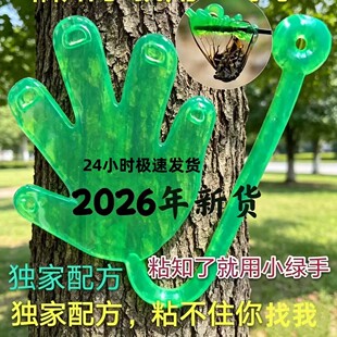 捕蝉粘知了胶小绿手工具抓知了神器夏天户外儿童玩具高黏度粘粘球