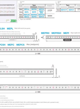 刻度尺MEPR/MEPRS/MEPCH/MEPCSH/MEPC/MEPCS-100 200 300 600