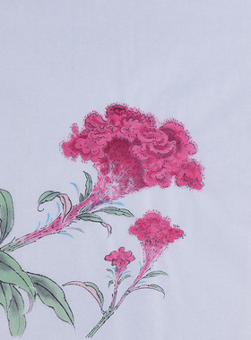 作品手绘国画写意画字画鸡冠花