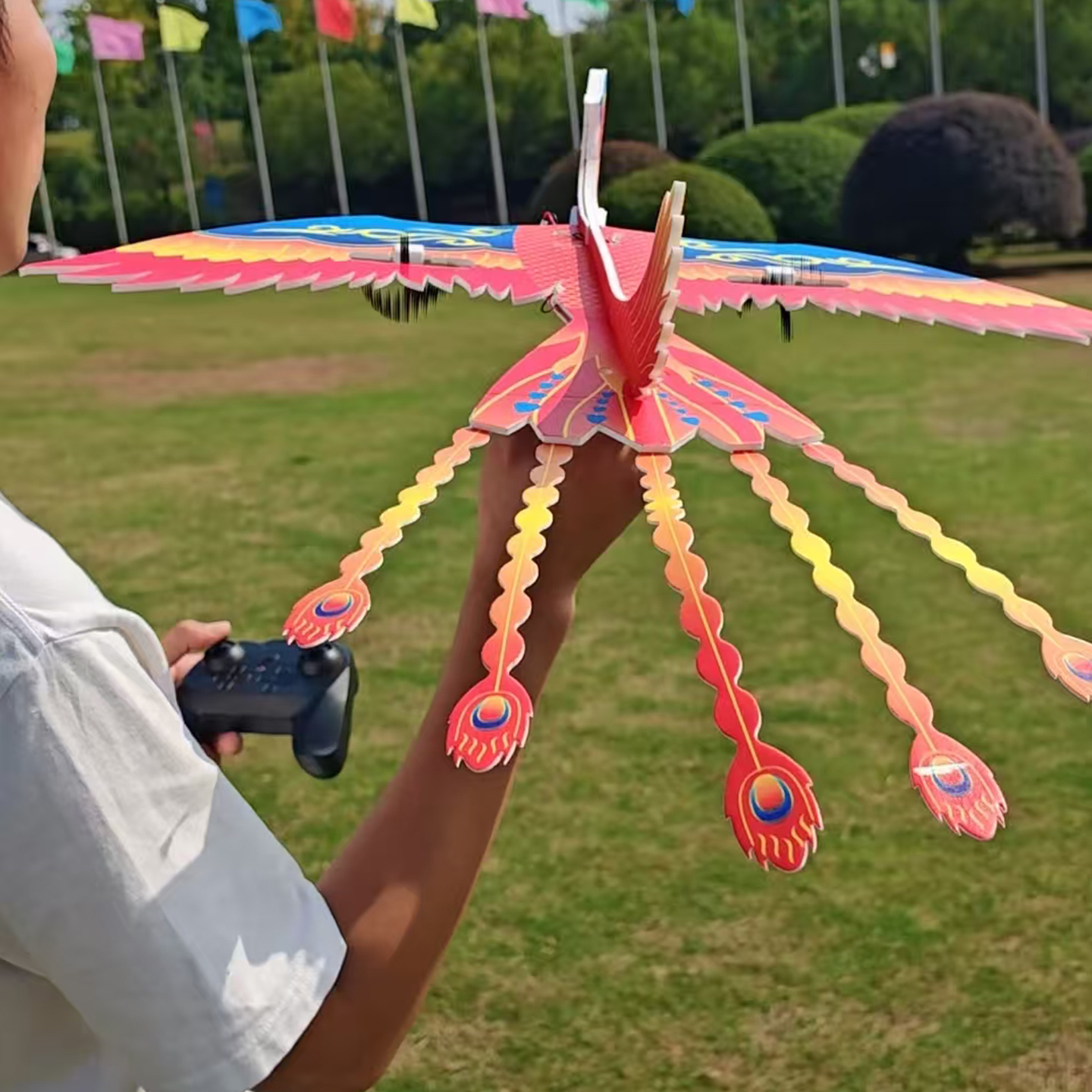 遥控凤凰新奇特飞行器