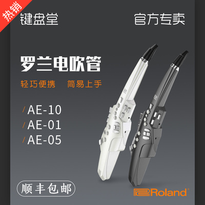 ROLAND罗兰AE01 AE05 AE01C电子吹管萨克斯乐器大全初学者电吹管