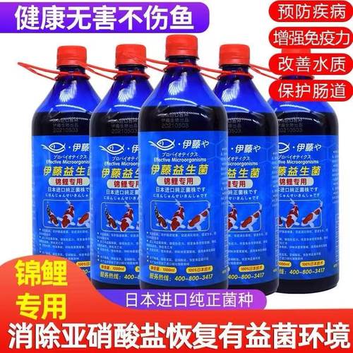 伊藤益生菌兰寿泰狮金鱼锦鲤专用