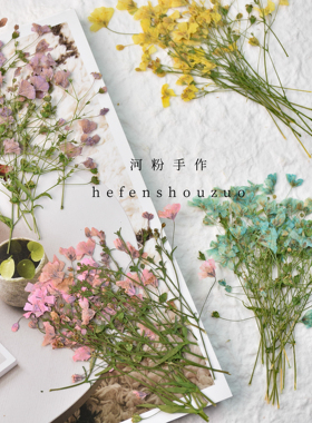 霞草真花押花手工diy材料