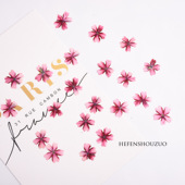 河粉手作棒棒糖美女樱压花手工材料美甲装 饰物滴胶真花diy手机壳