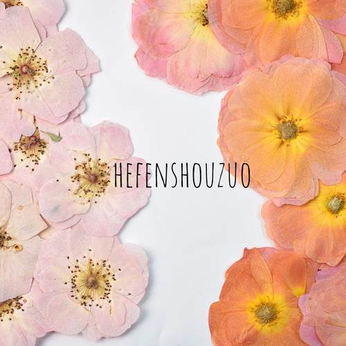 河粉手作干花压花玫瑰月季真花