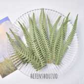 尖角厥叶大尺寸干花树叶相框diy手机壳滴胶压花手工材料装 饰绿植