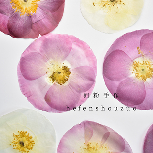 虞美人真花压花植物相框装饰平面装饰标本画滴胶干花材料