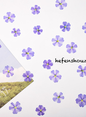 紫色棒棒糖美女樱真花押花手工diy材料uv水晶饰品封入物迷你平面