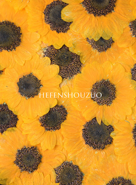 天然真花向日葵干花压花标本diy手工滴胶杯垫烟灰缸封入物材料