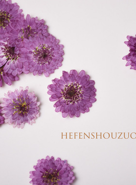 紫色小雏菊真花手工材料 写真照真花装容 滴胶手机壳押花素材