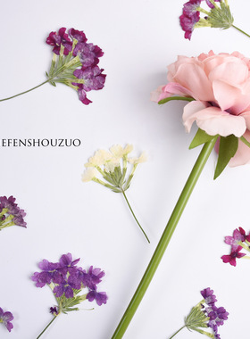 带枝美女樱真花干花手工diy