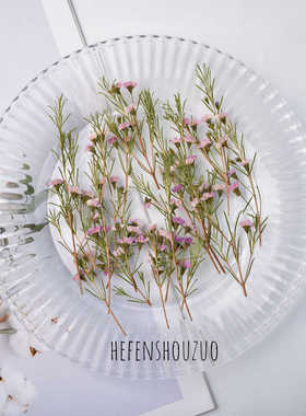 真树枝手工材料压花细叶腊梅植物标本押花滴胶杯垫封入物客厅