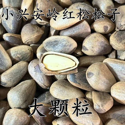 红松松子小兴安岭野生大颗粒东松塔籽东北特产香脆
