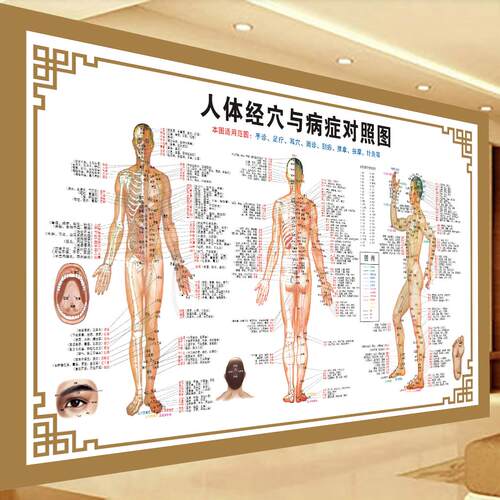 中医养生人体经穴与病症对照图经络穴位针炙对照高清海报超大挂图