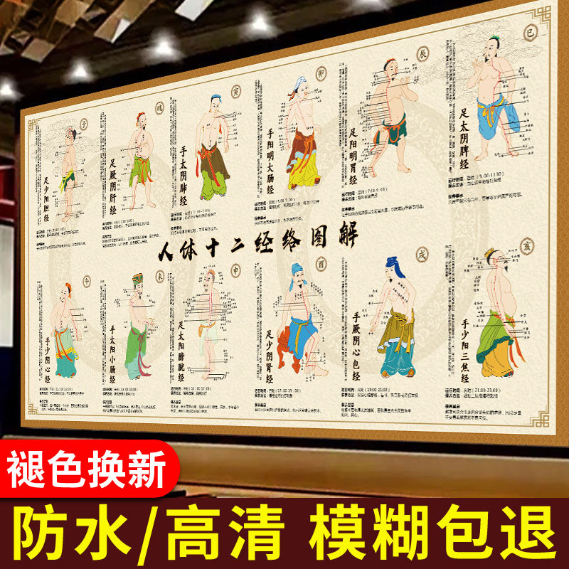 人体十二经络穴位图12走向图大写真/海报印制