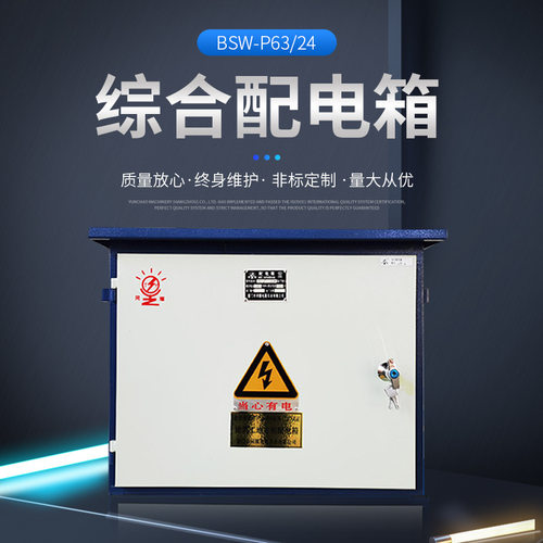 低压成套控制箱明装挂壁钢板配电柜电气设备综合低压配电控制柜