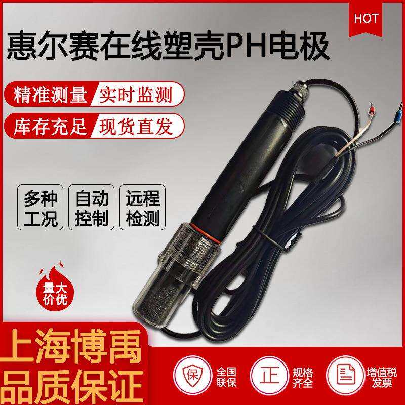 惠尔赛PH电极BYP-1010/5M工业在线塑壳5米PH/ORP电极探头