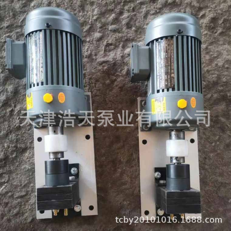 胶水齿轮泵JR 复合板 白乳胶 沥青 稠油发泡胶机油聚丁基胶齿轮泵