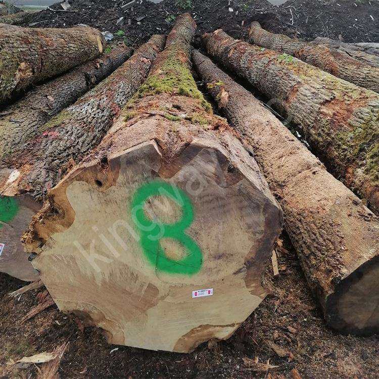 欧洲橡木实木原木进口白橡圆木原材家居门床桌椅板料板方木料栎木