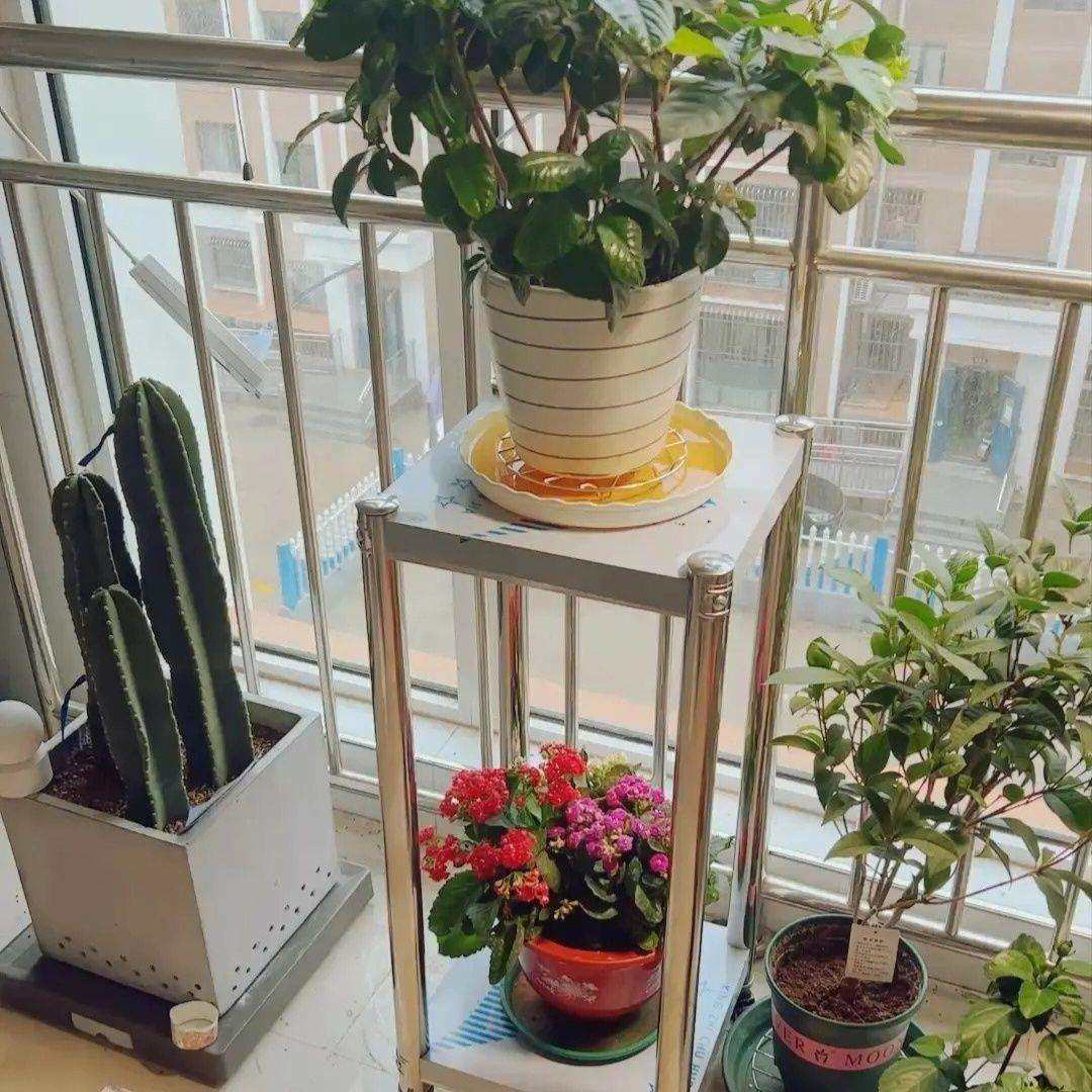 客厅落地式户外庭院盆景架简约花卉架阳台花架不锈钢室外盆栽架子