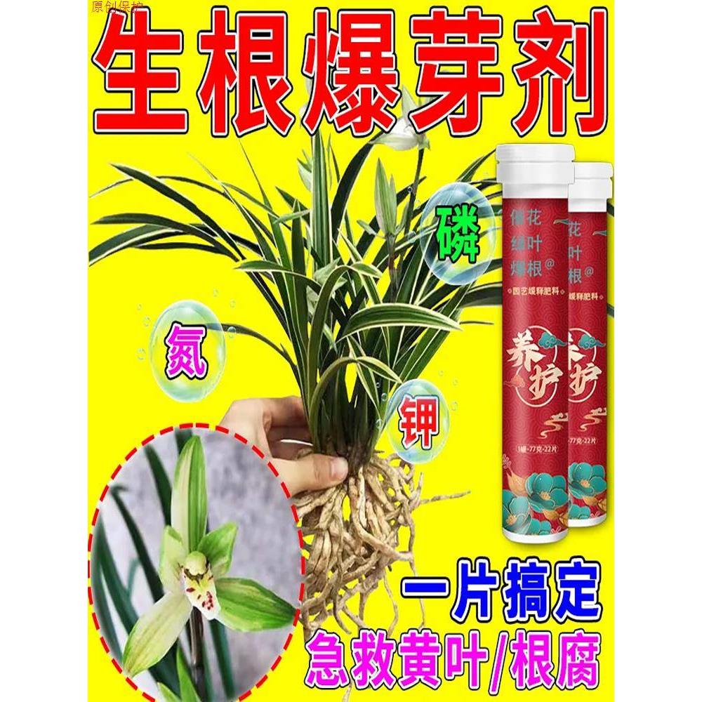 植物营养缓释片肥料氮磷钾种花养花肥家用果蔬盆栽花卉通用型精华