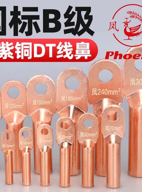凤凰DT国标A级加厚铜鼻子紫铜电线鼻纯铜接线端子电缆线冷压端子