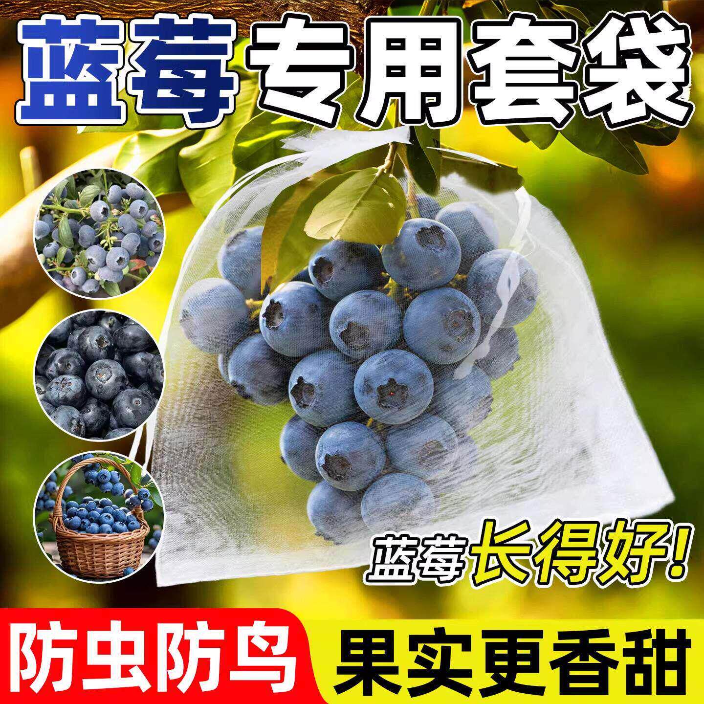 蓝莓专用防虫防鸟网袋防护纱网园艺透明水果套袋果树番茄草莓网罩