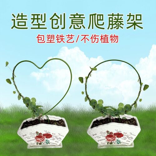 室内铁艺圆形心形雪莹山乌龟甲龙蝴蝶兰造型花架爬藤架子植物支架