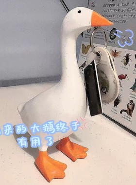 我真的把小游戏里的大鹅抓回家了