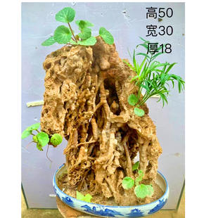 天然芦管石原石钟乳石吸水石盆景鱼缸造景石